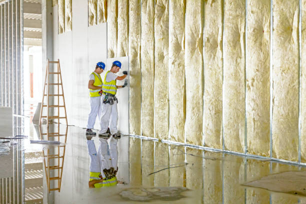 Best Insulation Installation Services in West Van Lear, KY